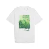Puma Se Palmerias Ftblnrgy+ Men's T-shirt In White
