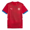 Puma Serbia 24 Home Soccer Jersey 'red'