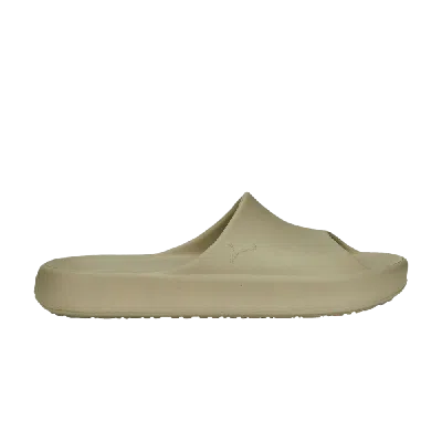 Pre-owned Puma Shibui Cat Slide 'birch Tree' In Green