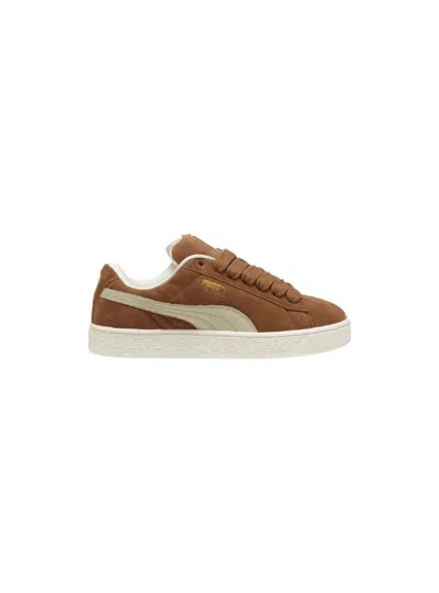 Puma Shoes Adult Unisex  _ In Brown