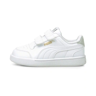 Puma Babies' Shuffle V Toddlers' Sneakers In White- White-gray Violet- Team Gold