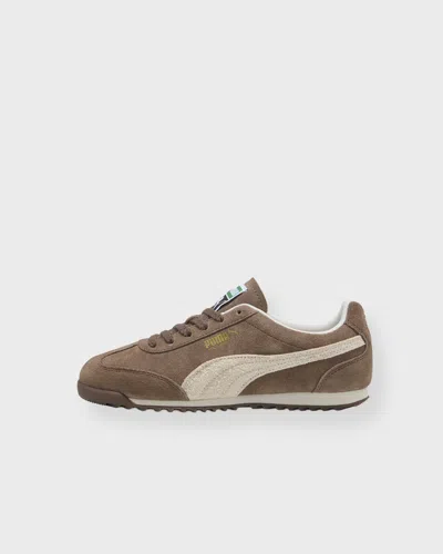 Puma Sneakers Arizona Sd Flat Bronze In Brown