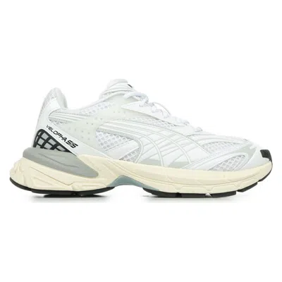 PUMA SNEAKERS PUMA VELOPHASIS