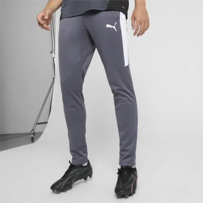 Puma Speed Men's Pants In Galactic Gray- White