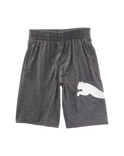 Puma Kids'  Speed Pack Performance Short In Gray