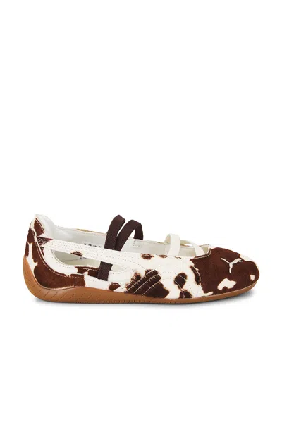 Puma Speedcat Ballet Cow Wns Shoes In Brown