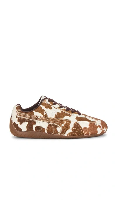 Puma Speedcat Cow Sneaker In Brown