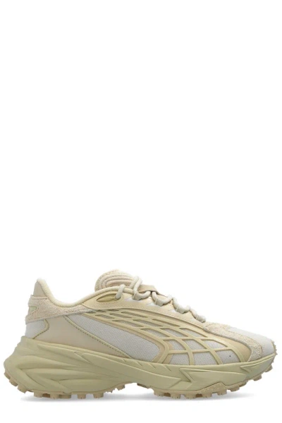 Puma Spirex Premium Lace In Beige