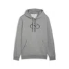 Puma Sport Graphic Hoodie Men In Gray