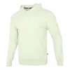 Puma Sports Wear Hoodie 'green'