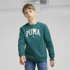 Puma Squad Big Kids' Crew In Cold Green