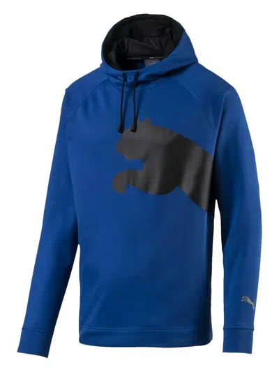 Puma Stadium Cat Training "blue" Hoodie