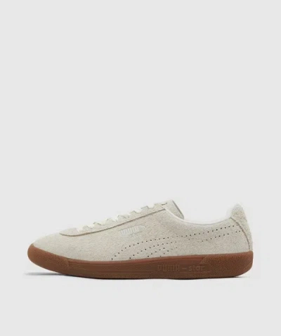 Puma Star Sd Sneaker In Frosted Ivory-gum