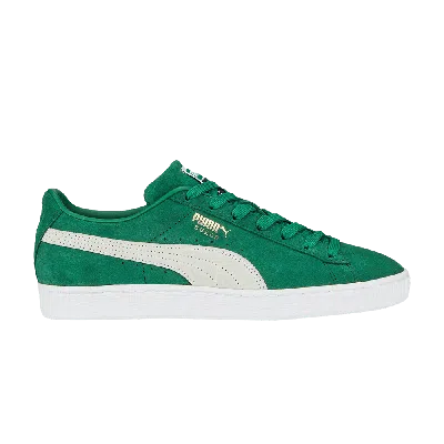 Pre-owned Puma Suede Classic 21 'vine White' In Green