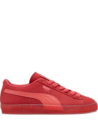 Puma Suede Classic Translucent "tart Cherry" Sneakers In Red