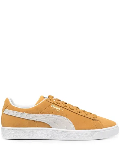 Puma Sneakers In Camel