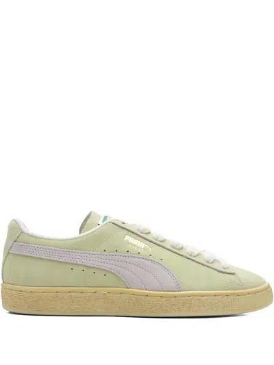 Puma Suede Classic Xxi Sneakers In Green