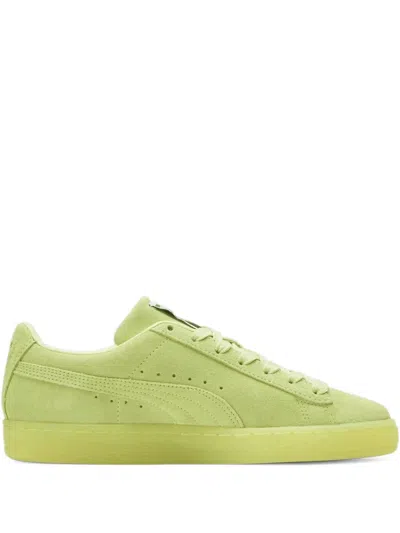 Puma Suede Classic Xxi "yellow" Sneakers In Green