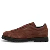 Puma Men Strings In Brown