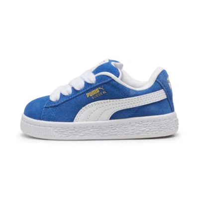 Puma Babies' Suede Xl Toddlers' Sneakers In Team Royal- White