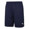 Puma Rtg Shiny Fabric 10" Men's Shorts In Blue