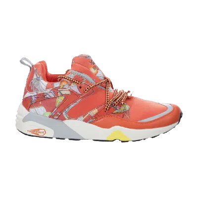 Pre-owned Puma Swash O X Blaze Of Glory 'nasturtium' In Orange
