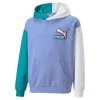 Puma Sweatshirt With Two-tone Sleeves In Viola