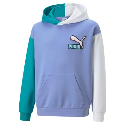 Puma Kids' Sweatshirt With Two-tone Sleeves In Viola
