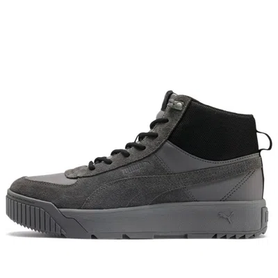 Puma Tarrenz Sb Sneakers Grey In Gray