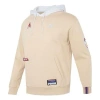 Puma Team Badge Hoodie 'beige' In Neutral
