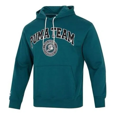 Puma Team Hoodie 'green'
