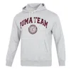 Puma Team Hoodie 'grey' In Gray