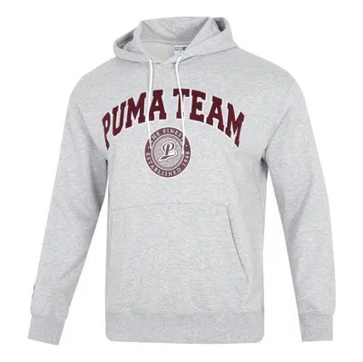 Puma Team Hoodie 'grey' In Gray