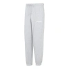 Puma Team Pants 'grey' In Gray