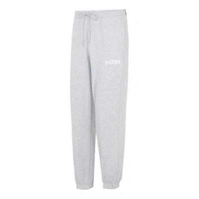 Puma Team Pants 'grey' In Gray