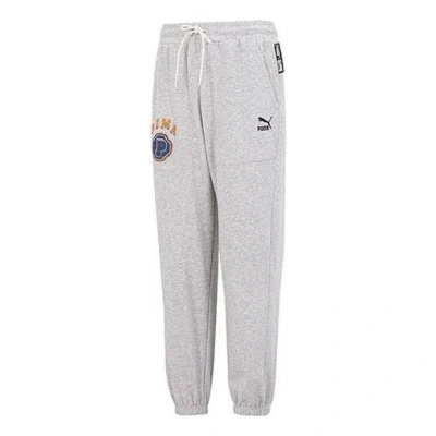 Puma Team Pants Tr Logo Pants 'grey' In Gray