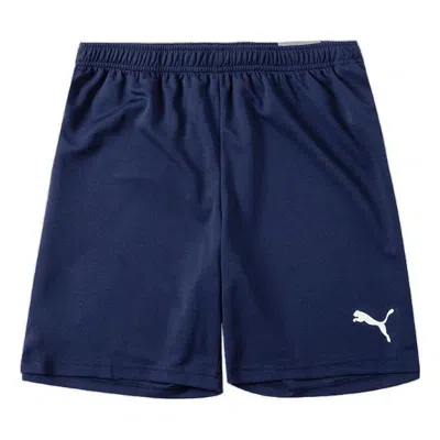 Puma Team Rise Training Shorts 'navy' In Blue
