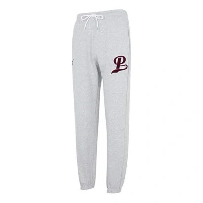 Puma Team Sweatpants 'grey' In Gray