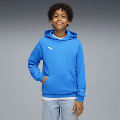 Puma Kids' Teamgoal Football Casuals Hoody Youth In Blue