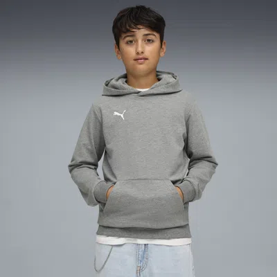 Puma Kids' Teamgoal Football Casuals Hoody Youth In Gray