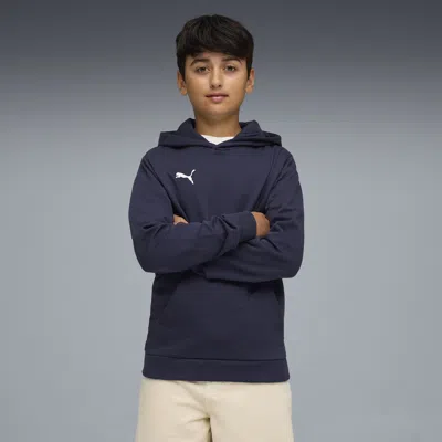 Puma Kids' Teamgoal Football Casuals Hoody Youth In Blue