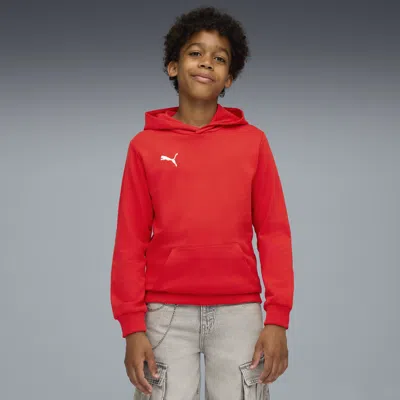 Puma Kids' Teamgoal Football Casuals Hoody Youth In Red