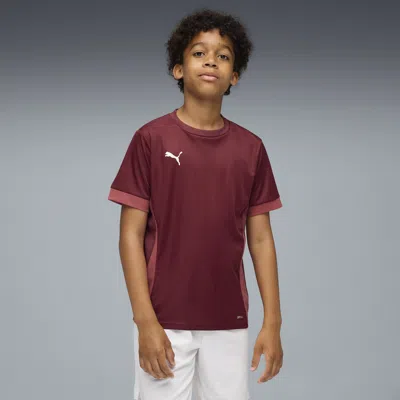Puma Kids' Teamgoal Matchday Football Jersey Youth In Burgundy