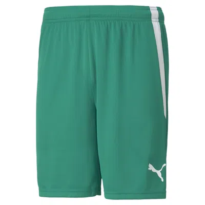 Puma Teamliga Men's Soccer Shorts