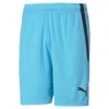 Puma Teamliga Men's Soccer Shorts In Blue