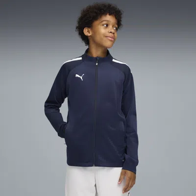 Puma Kids' Teamliga Training Jacket Youth In Blue