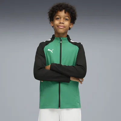 Puma Kids' Teamliga Training Jacket Youth In Green
