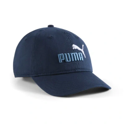 Puma Kids' The Daddio Boys' Cap In Navy/lt Blue