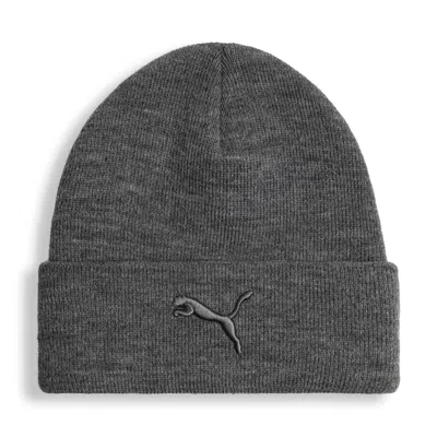 Puma Tonal Beanie In Gray