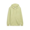 Puma Tonal Graphic Men's Full-zip Hoodie In Pistachio Green